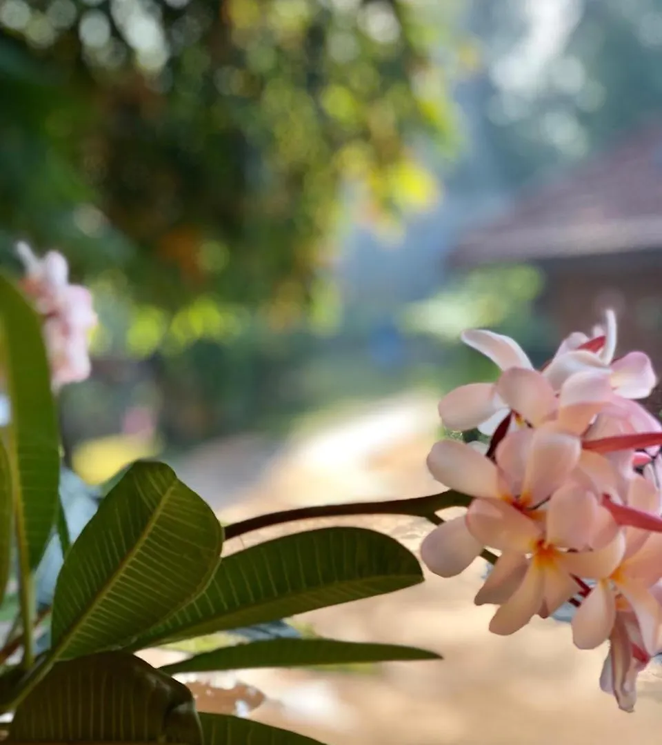 Suri Retreat Villa Negombo 0*,